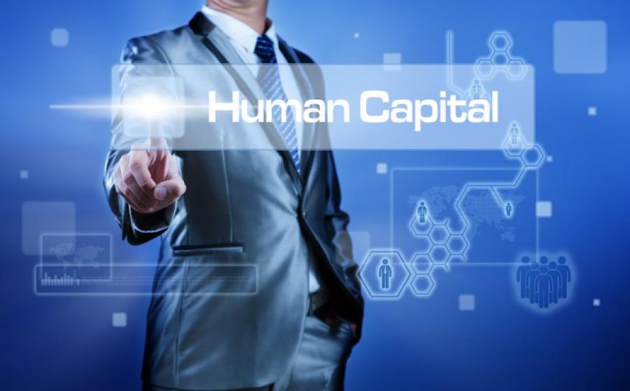 إدارة رأس المال البشري