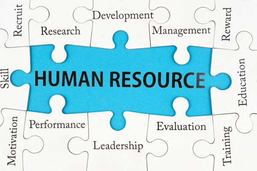 علم تطوير الموارد البشرية