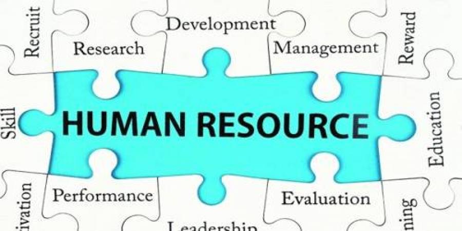 إدارة الأعمال (إدارة الموارد البشرية)